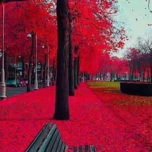 Meet your Posher, Bobby